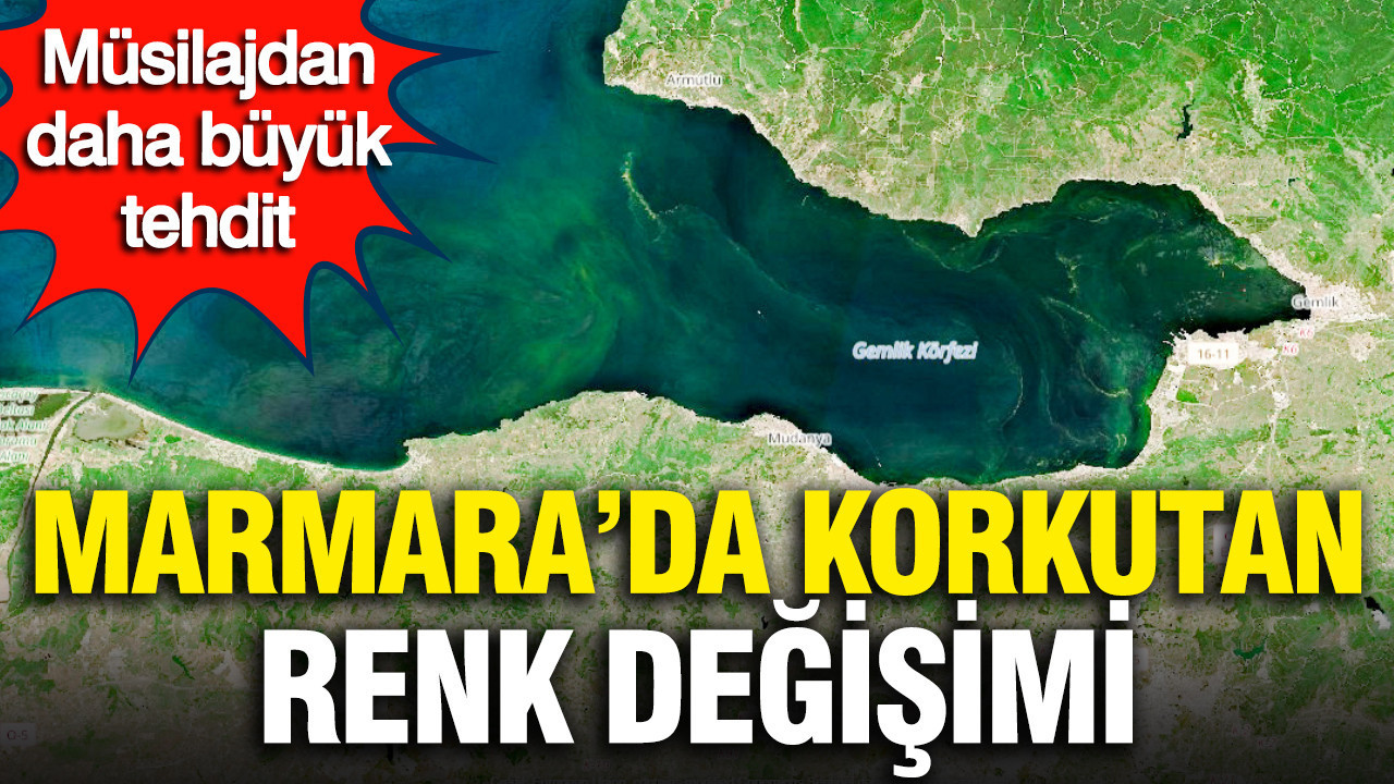 Müsilajdan daha büyük tehdit mi? Marmara’da korkutan renk değişimi