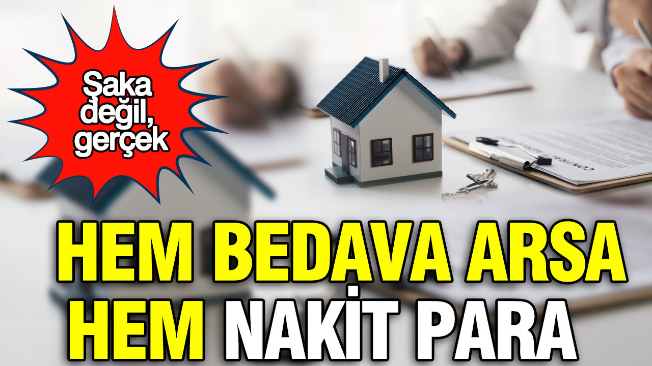Şaka değil, gerçek: O ülkede hem bedava arsa hem nakit para