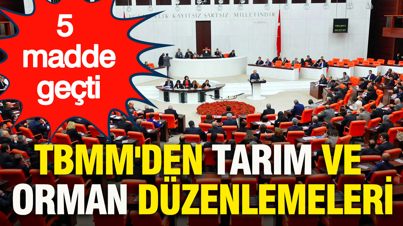 TBMM'den tarım ve orman düzenlemeleri: 5 madde geçti