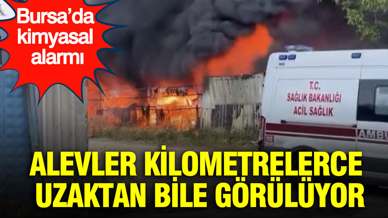 Alevler Kilometrelerce uzaktan bile görülüyor: Bursa’da kimyasal alarmı