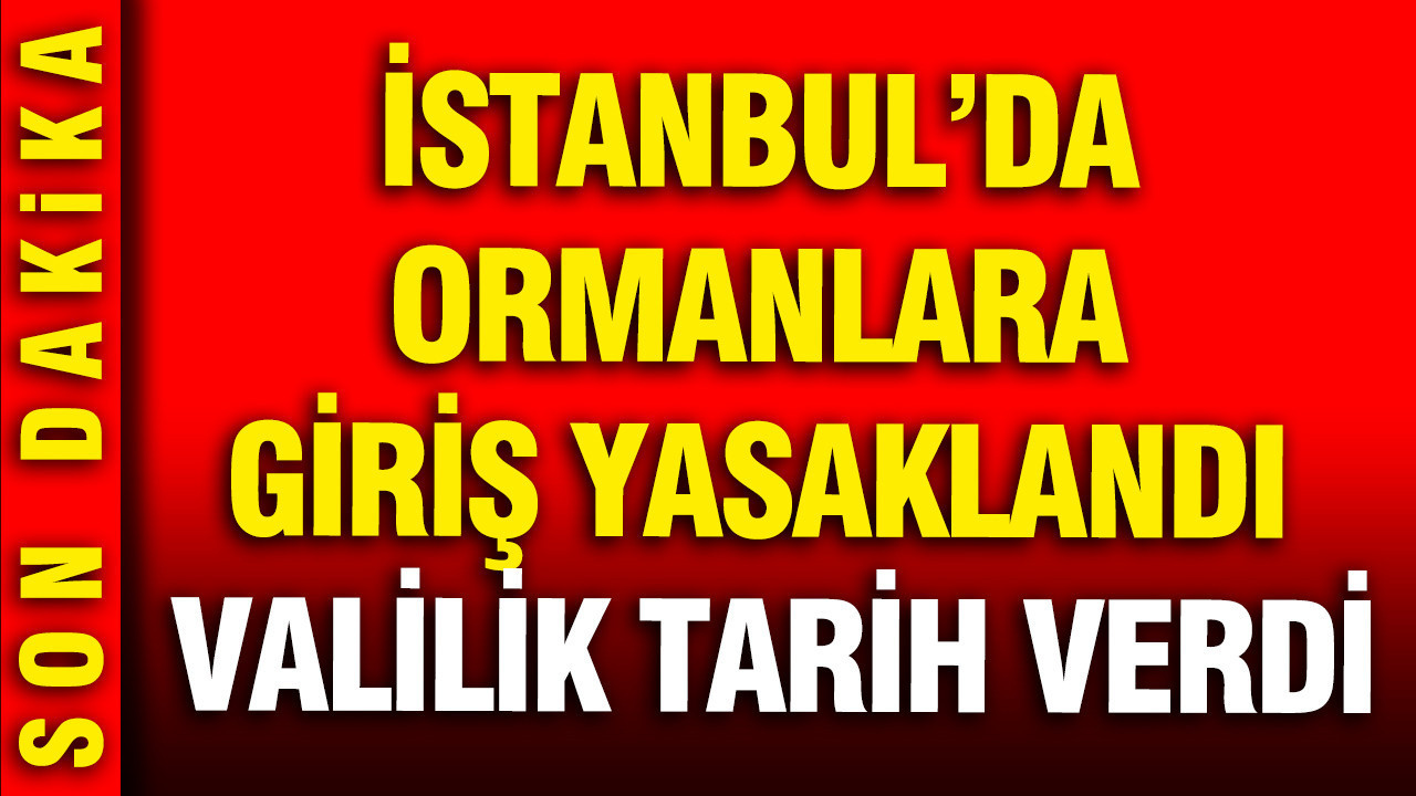 İstanbul’da ormanlara giriş yasaklandı: Valilik tarih verdi