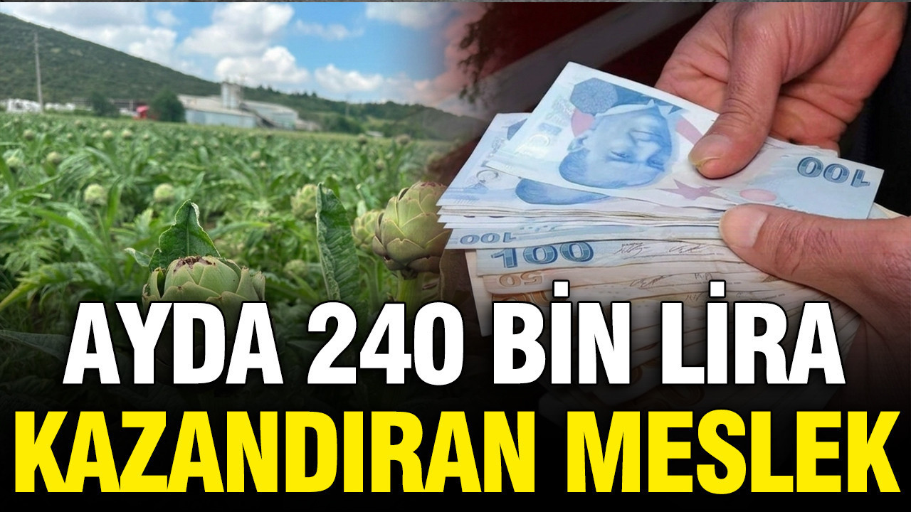 Günde bin adet işleyerek ayda 204 bin TL kazanç sağlıyorlar