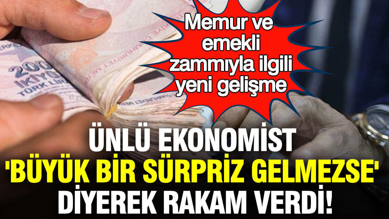 Memur ve emekli zammıyla ilgili yeni gelişme: Ünlü ekonomist