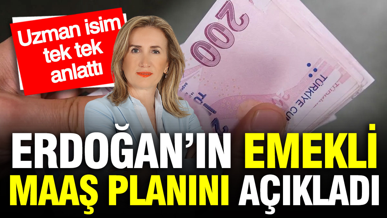 SGK uzmanı Dilek Ete, Erdoğan’ın emekli maaşı planını açıkla