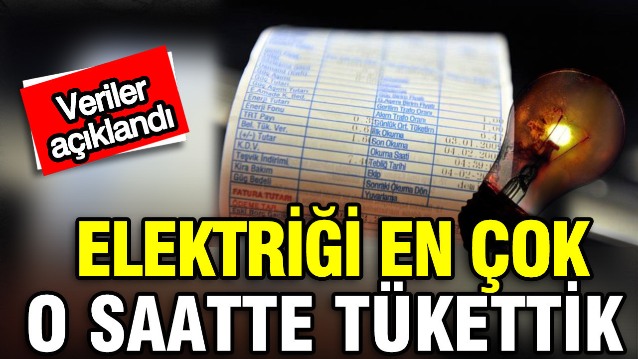 Türkiye'nin günlük enerji karnesi: En çok elektriği saat 15.