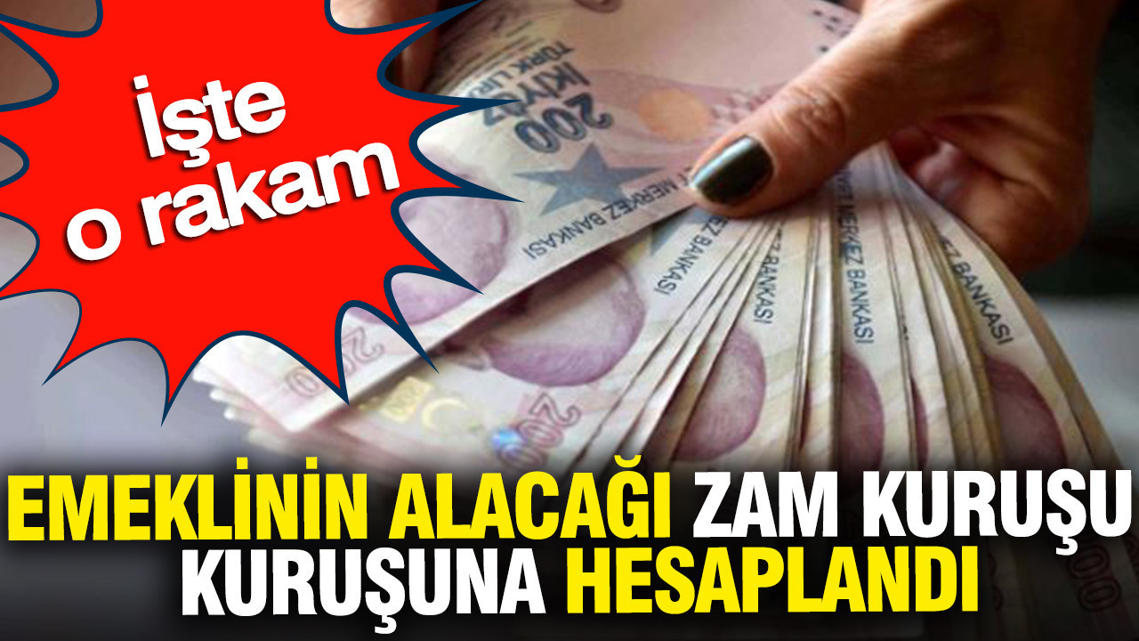 Emeklinin alacağı zam kuruşu kuruşuna hesaplandı: İşte o rak