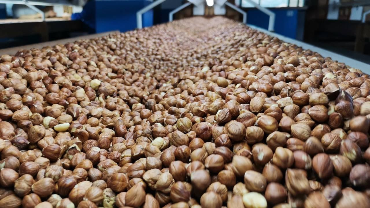 Fındıkta ihracat rekoru: 5 ayda 1,2 milyar dolar gelir sağla
