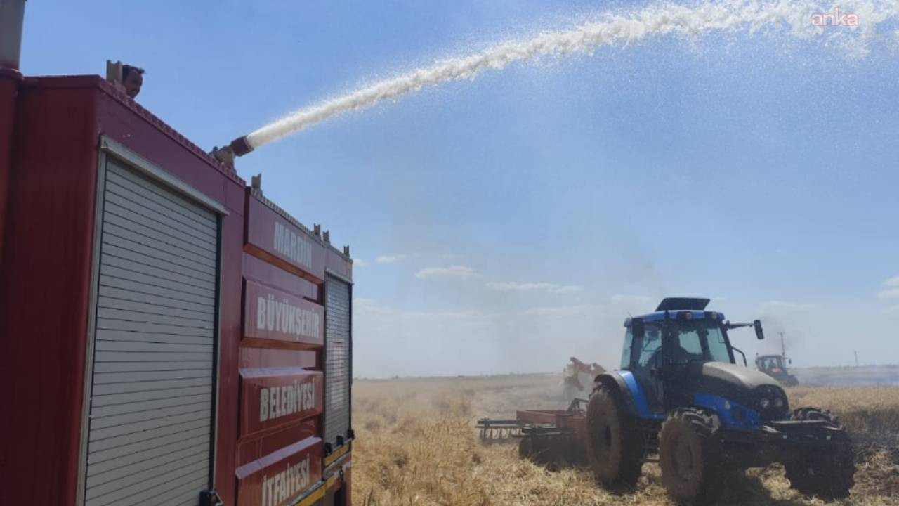 Mardin'de korkutan tarla yangınları: Dönümlerce ek