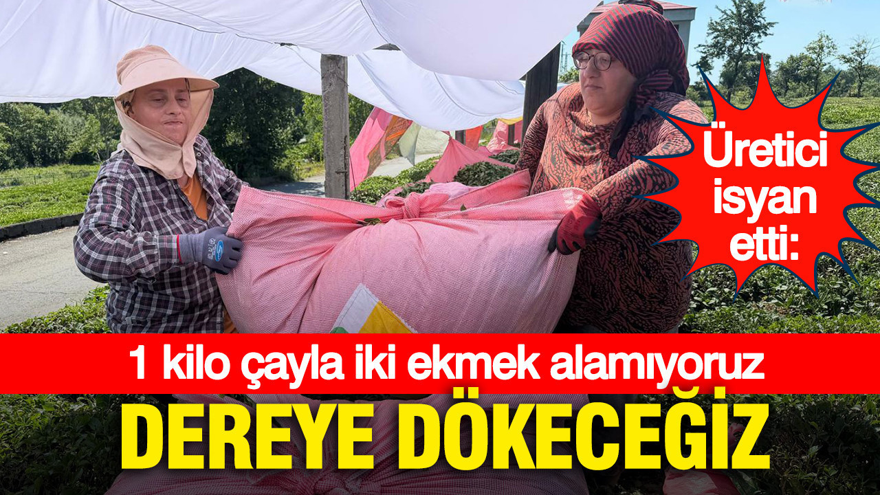 Rize’de çay üreticisi isyan etti: “1 kilo çayla 2 ekmek bile