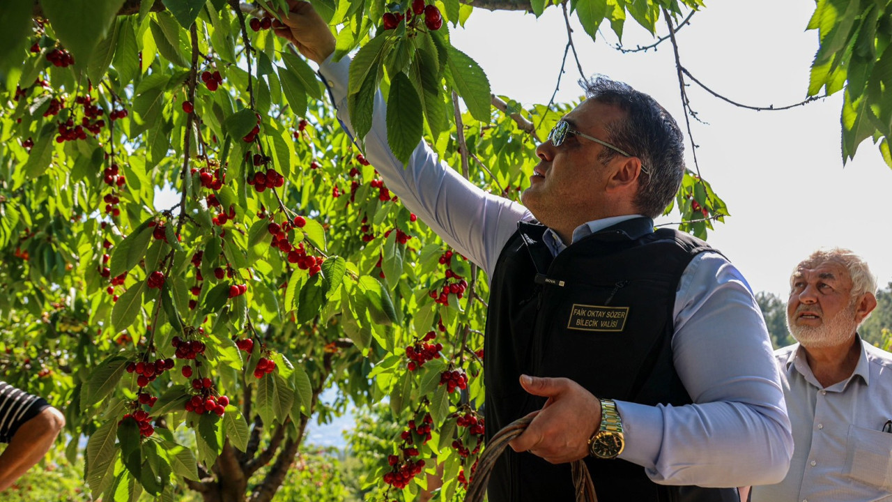 Bilecik’te 27 bin dekar alanda üretilen kirazın ilk hasadı y