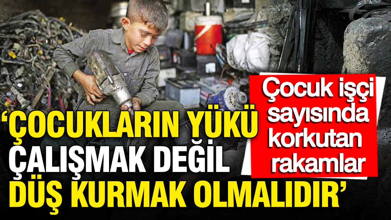 Çocuk işçi sayısında korkutan rakamlar: 'Çocukların yükü çal