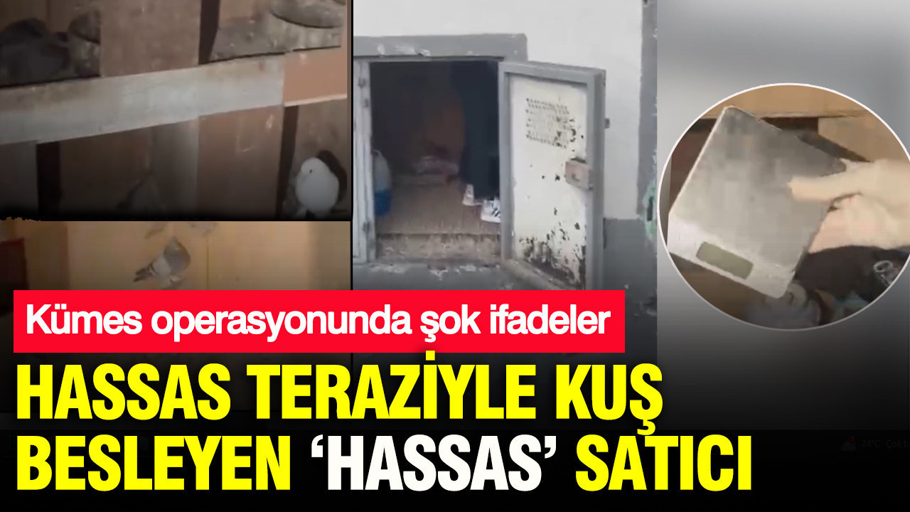 Hassas teraziyle kuş besleyen ‘Hassas’ satıcı: Küm