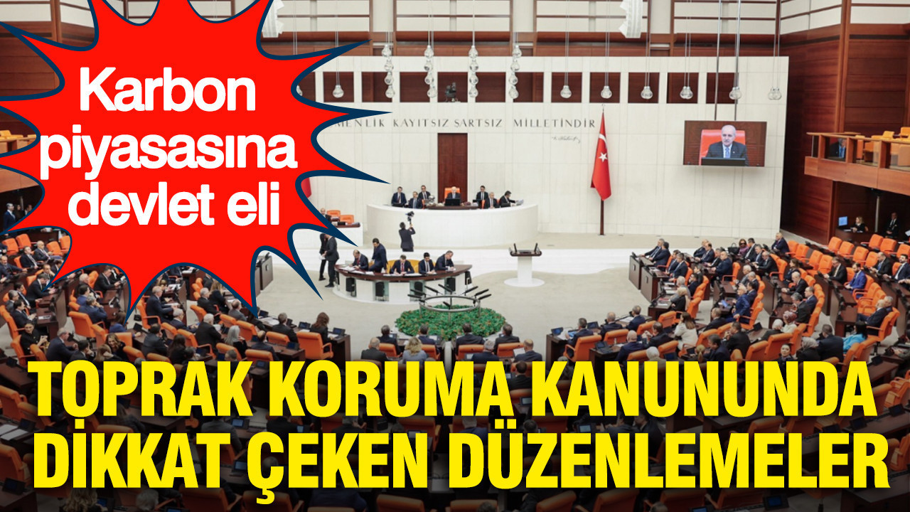 Karbon piyasasına devlet eli: Toprak koruma kanununda dikkat