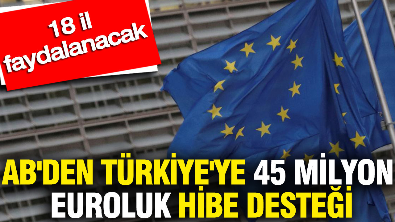 AB'den Türkiye'ye 45 milyon euroluk hibe desteği: 18 il fayd