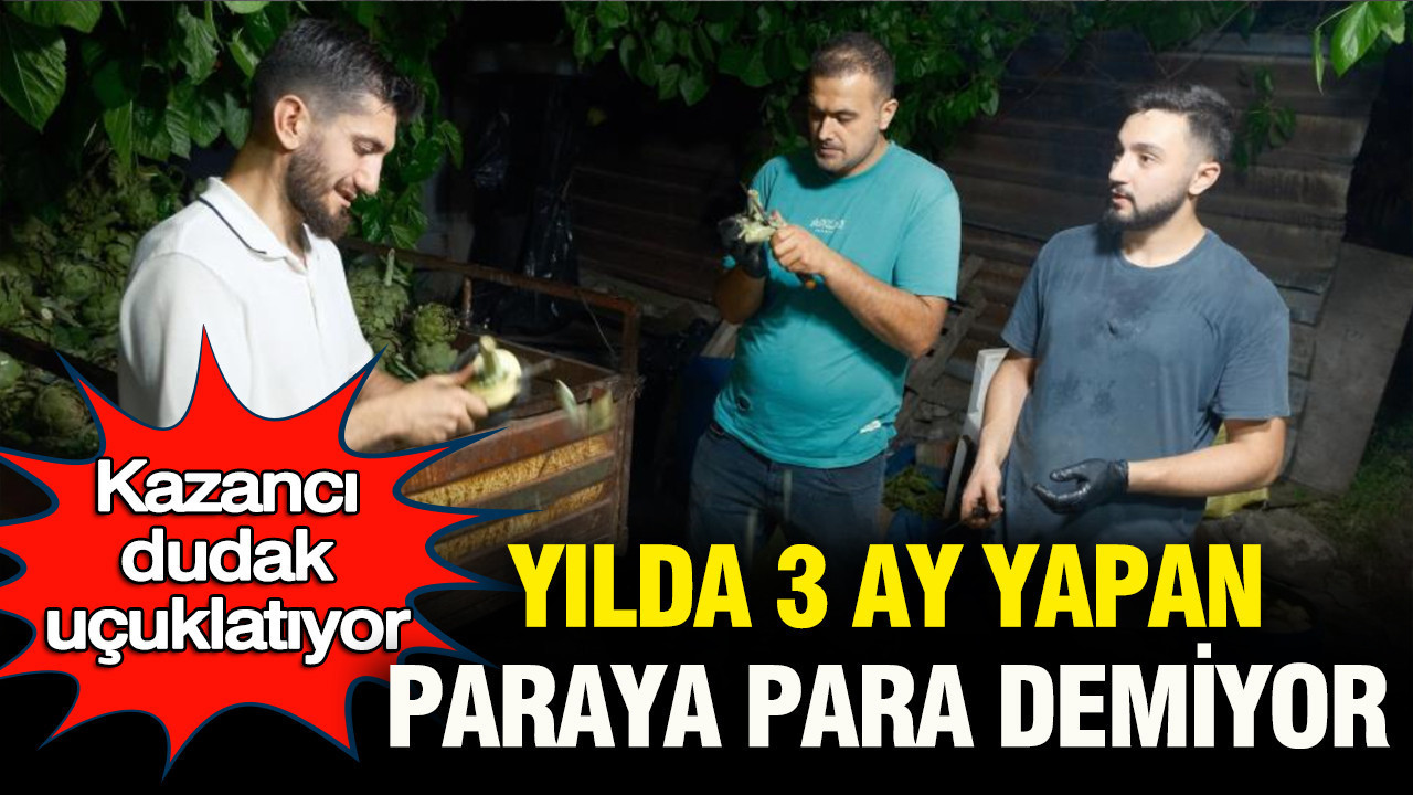 Görenler şaşırıyor, kazancı dudak uçuklatıyor: Yılda 3 ay ya