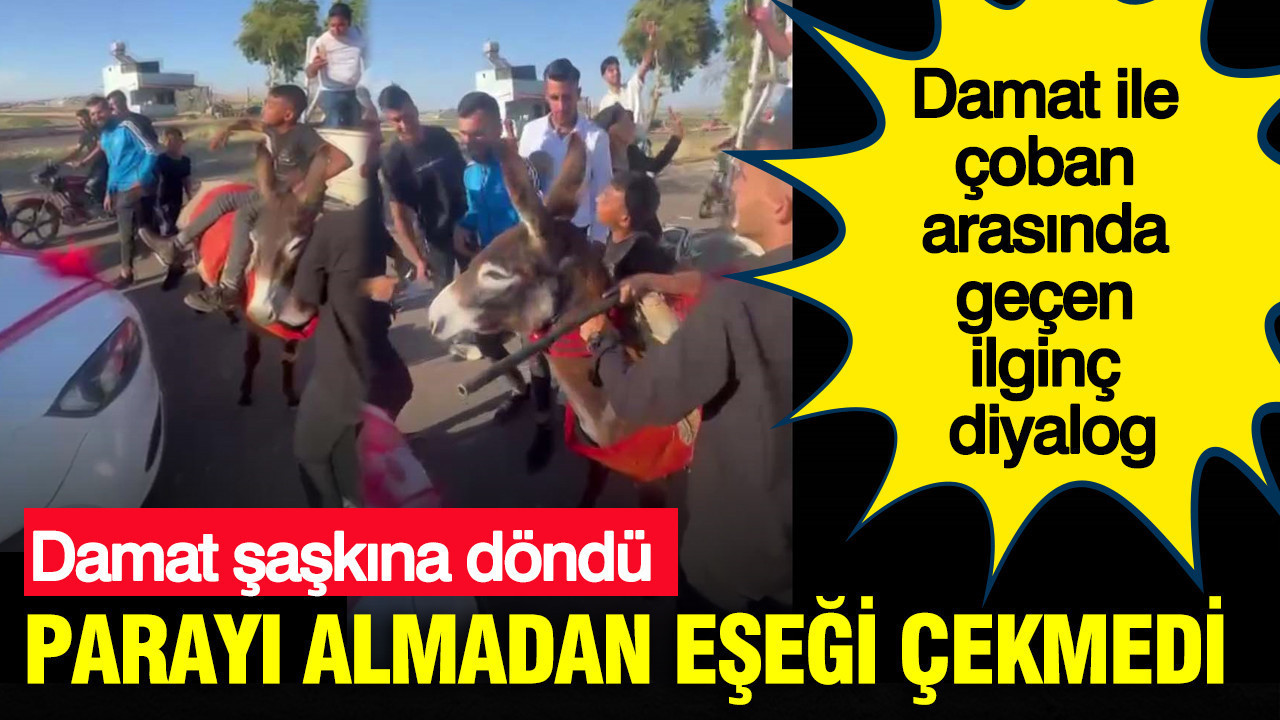 Damat şaşkına döndü: Parayı almadan eşeği çekmedi: