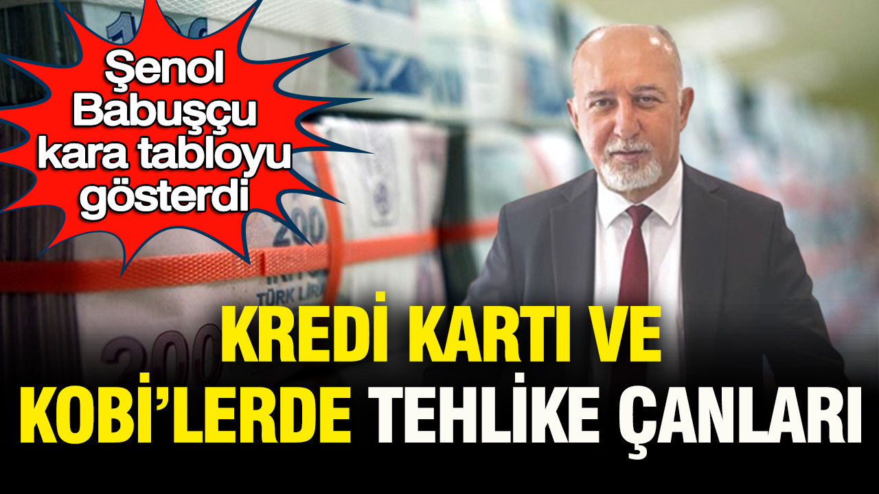 Şenol Babuşçu kara tabloyu gösterdi: Kredi kartı v