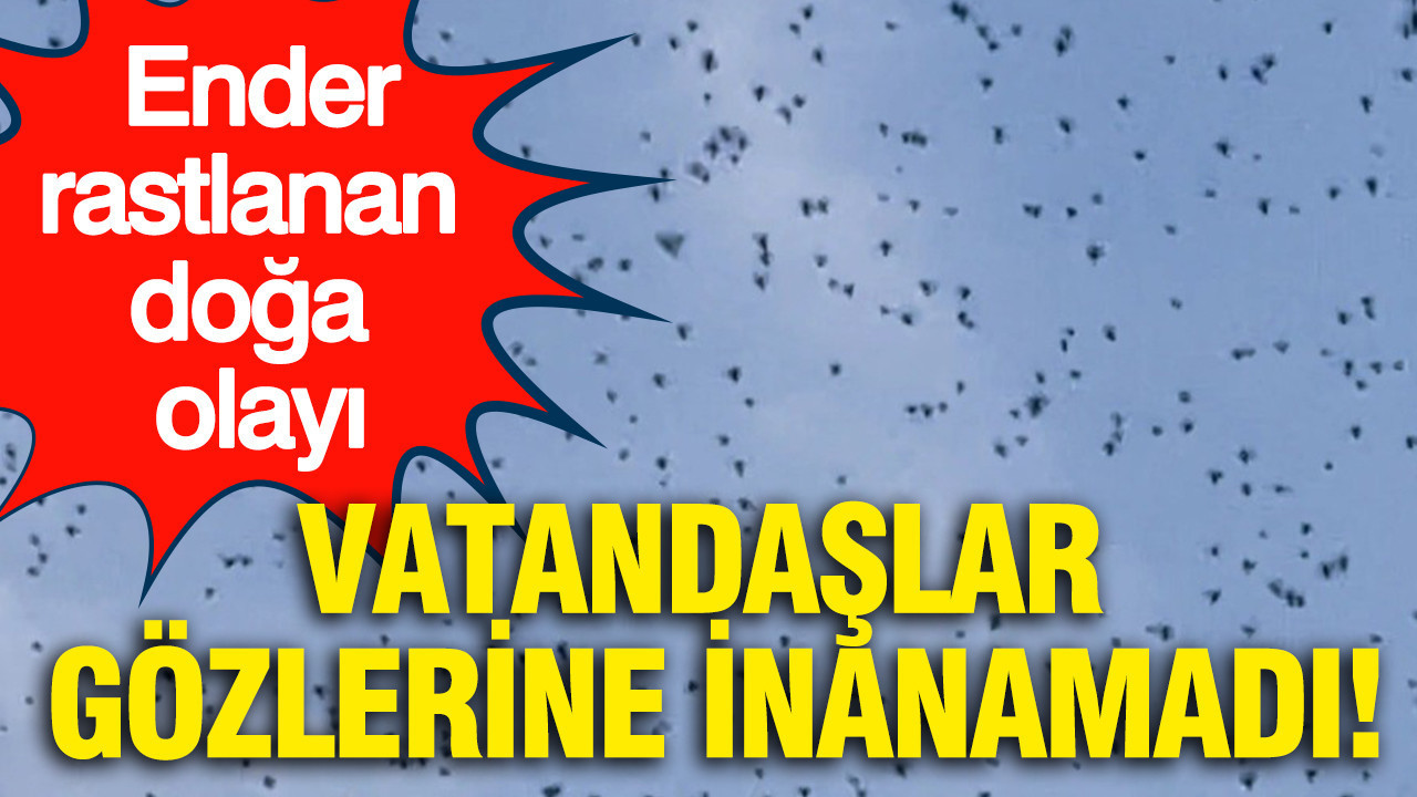 Ender rastlanan doğa olayı: Vatandaşlar gözlerine inanamadı