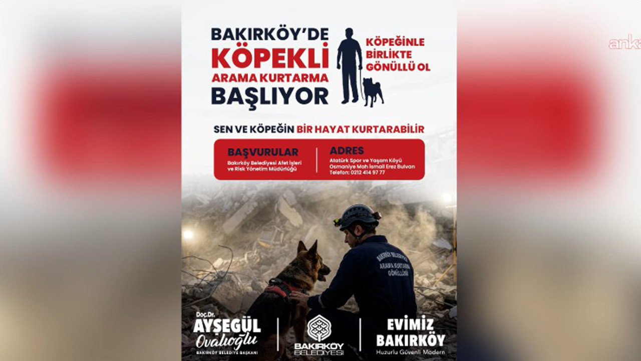 Bakırköy’de köpekli arama kurtarma gönüllüleri aranıyor