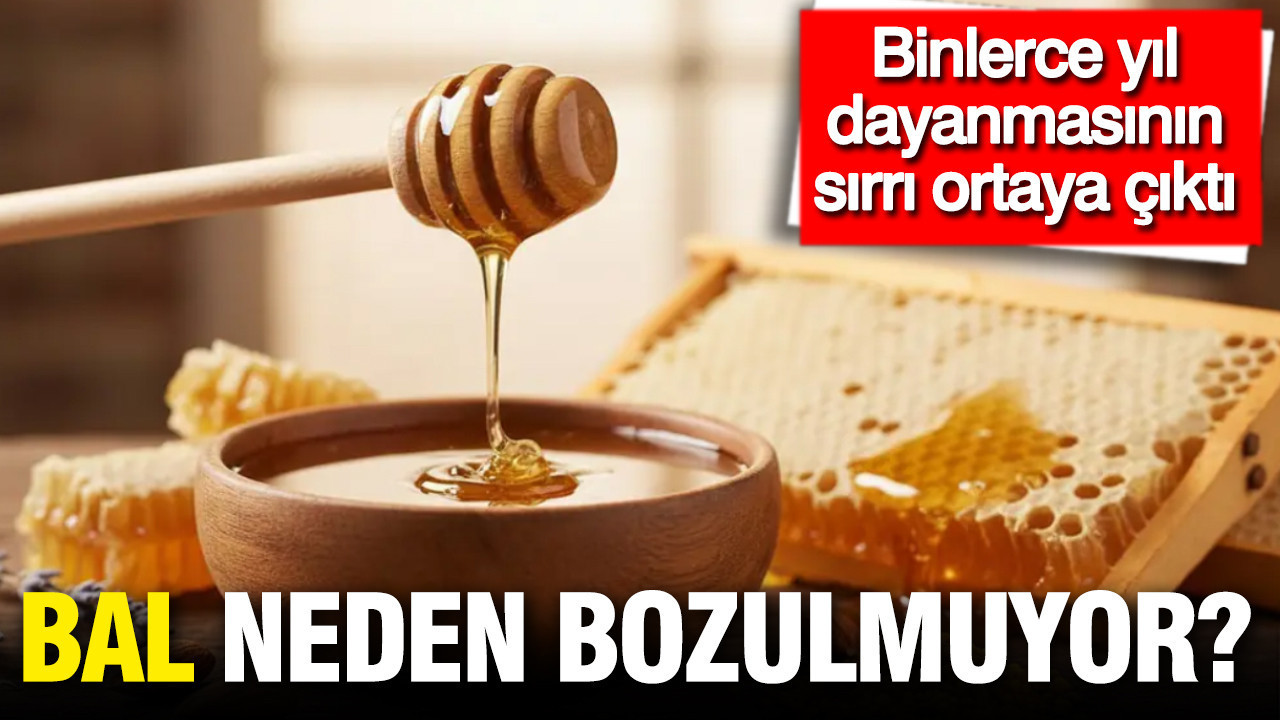 Bal neden bozulmuyor? Binlerce yıl dayanmasının ardındaki sır ortaya çıktı