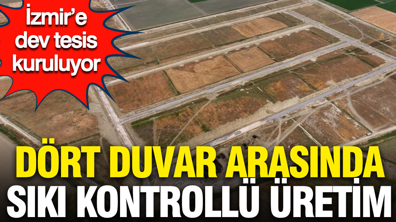 İzmir’de dev tesis: Dört duvar arasında sıkı kontrollü üretim başlıyor