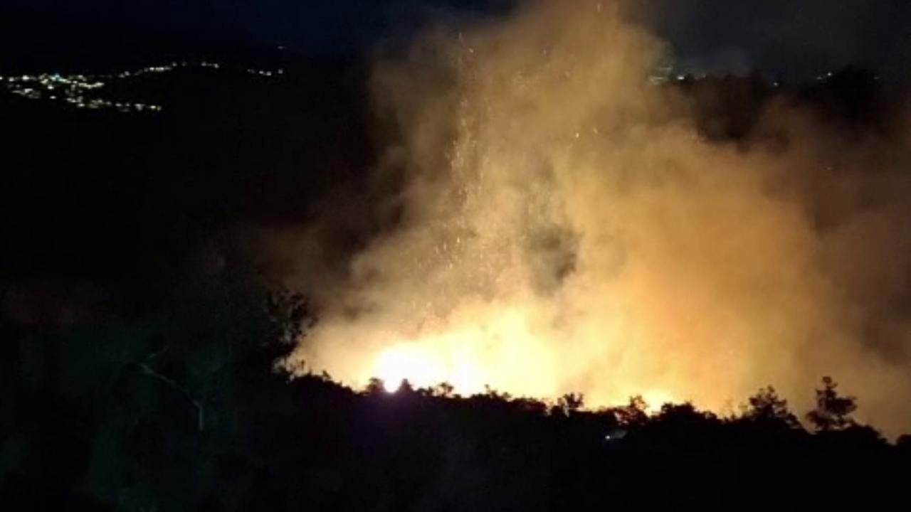 Hatay'da orman yangını, büyümeden söndürüldü
