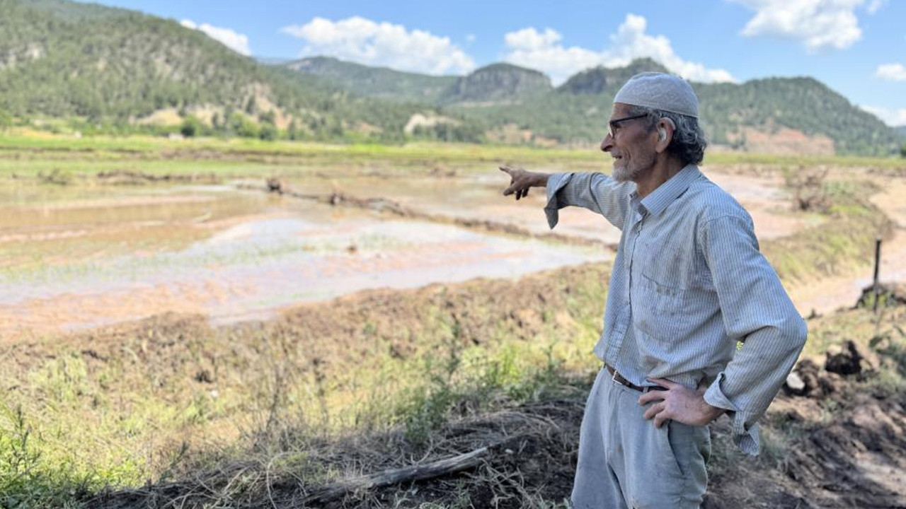 Yaka seli 30 dönüm çeltik tarlasına zarar verdi: “45 yıldır ilk defa görüyorum”