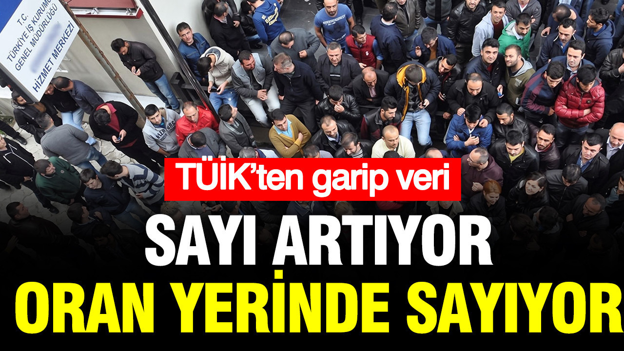 TÜİK’ten garip veri: Sayı artıyor, oran yerinde sayıyor