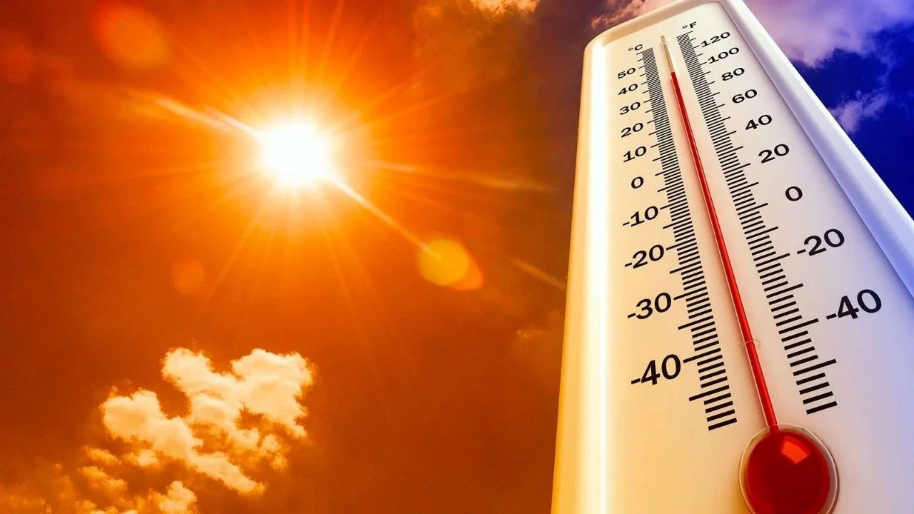 Yaz sıcaklarına çözüm bulundu: Faydasını duyunca bardak bardak içeceksiniz