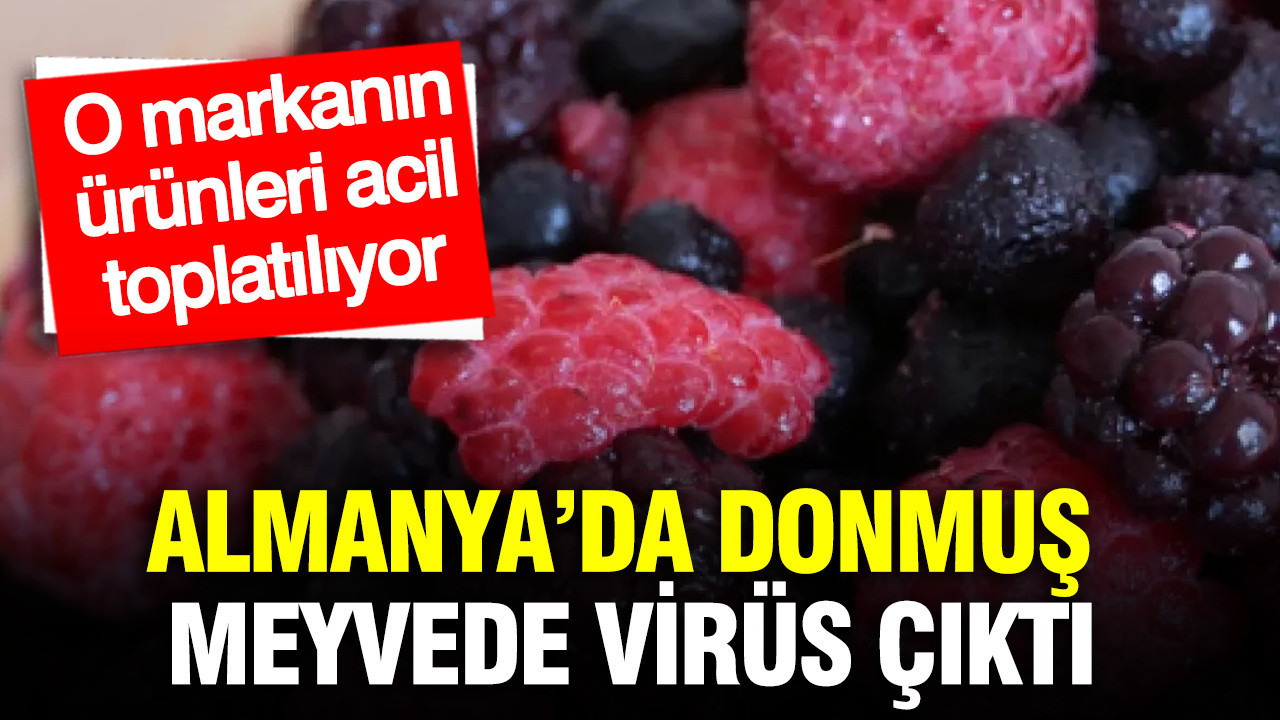 Almanya’da donmuş meyvede virüs çıktı: O markanın ürünleri acil toplatılıyor