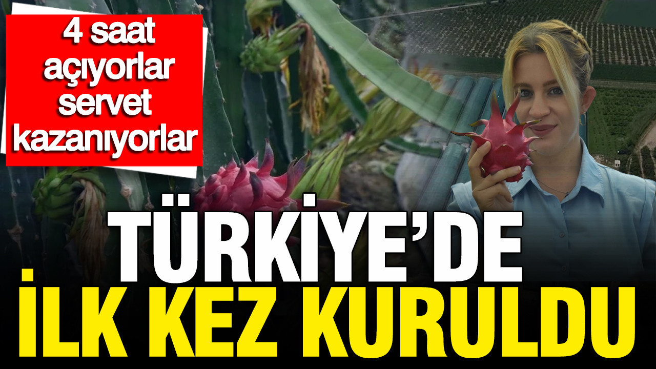Türkiye'de ilk kez kuruldu: Geceleri 4 saat açıyorlar servet kazanıyorlar