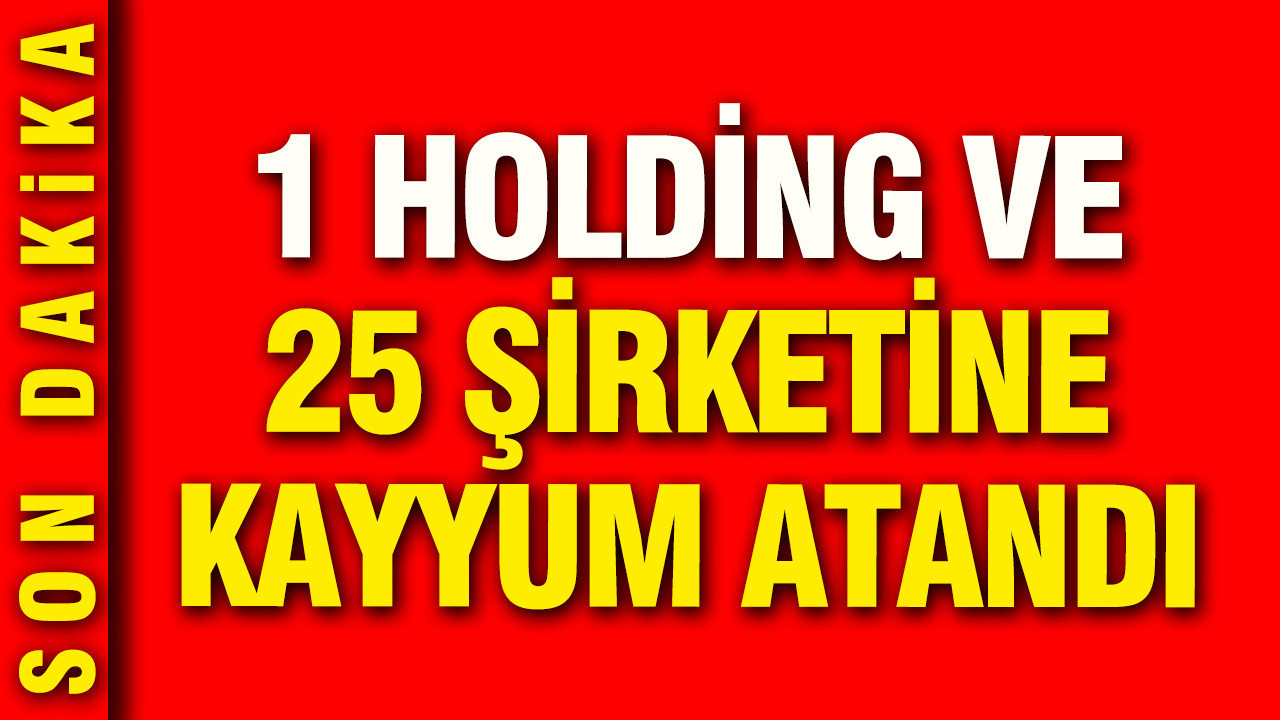 Turuncu Holding'e ve 25 şirketine kayyum atandı