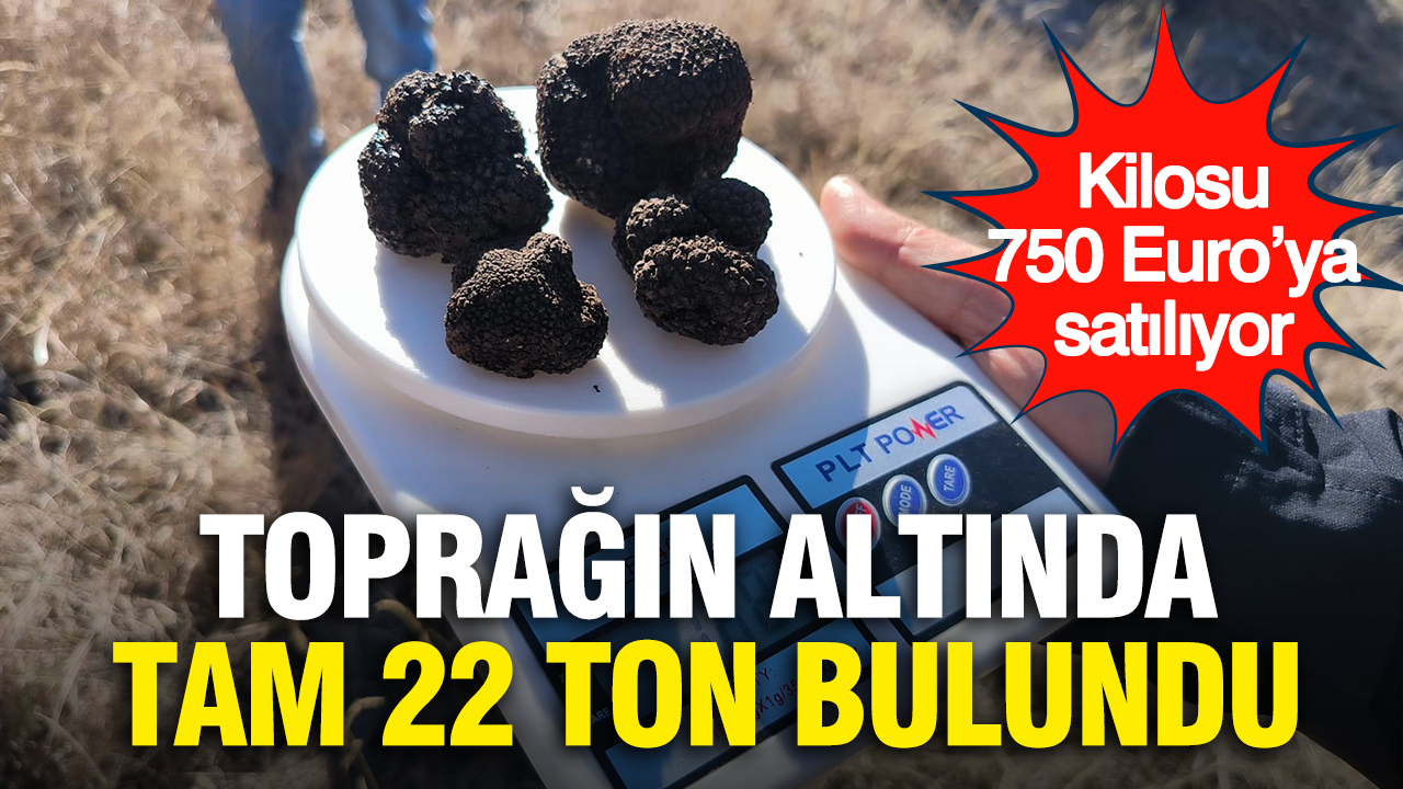 Kilosu 750 Euro'ya satılıyor: Toprağın altında tam 22 ton bulundu