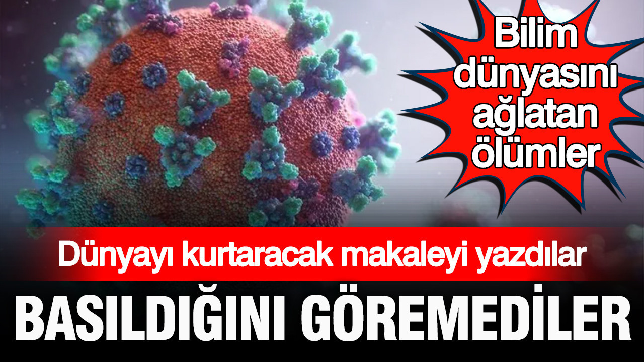 Dünyayı eboladan kurtaracak makaleyi yazdılar ama basıldığını göremediler: Bilim dünyasını ağlatan ölüm