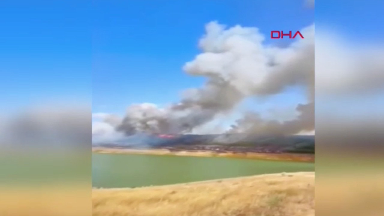 Tekirdağ'da yangında 80 dekar orman küle döndü