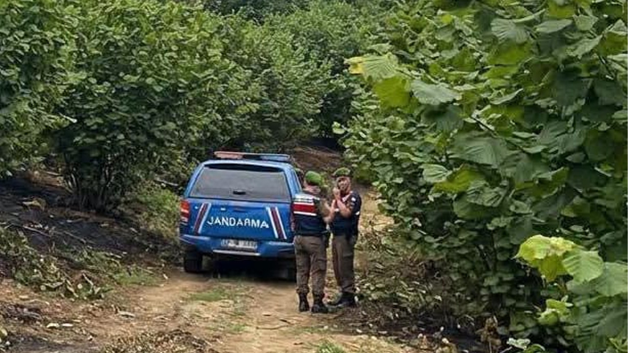 Samsun'da 67 yaşındaki kişi fındık bahçesinde yanmış halde ölü bulundu
