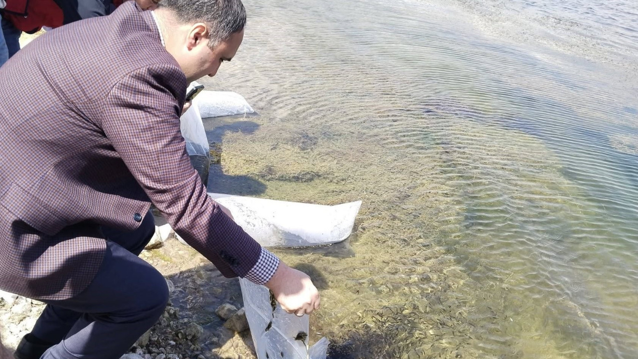 Kütahya'da gölete 140 bin sazan yavrusu bırakıldı