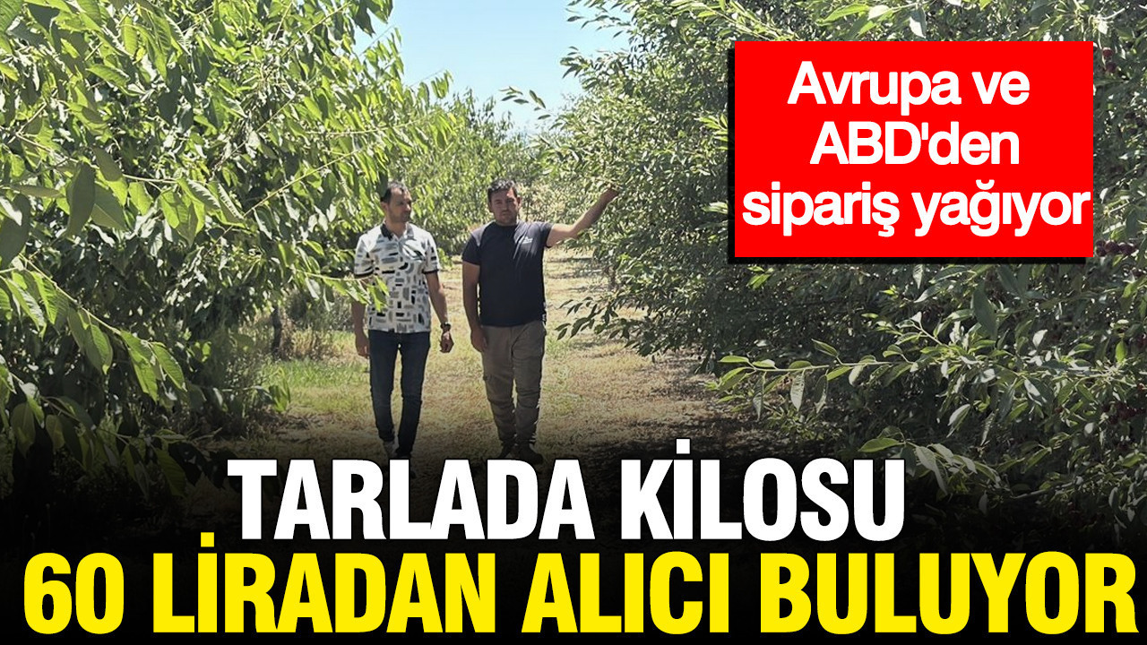 Tarlada kilosu 60 liradan alıcı buluyor: Avrupa ve ABD'den sipariş yağıyor