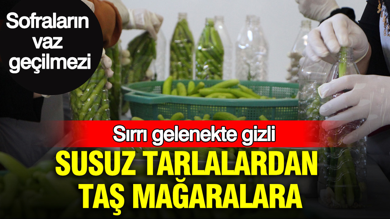Susuz tarlalardan taş mağaralara: Sırrı gelenekte gizli: Üretim için kolları sıvadılar