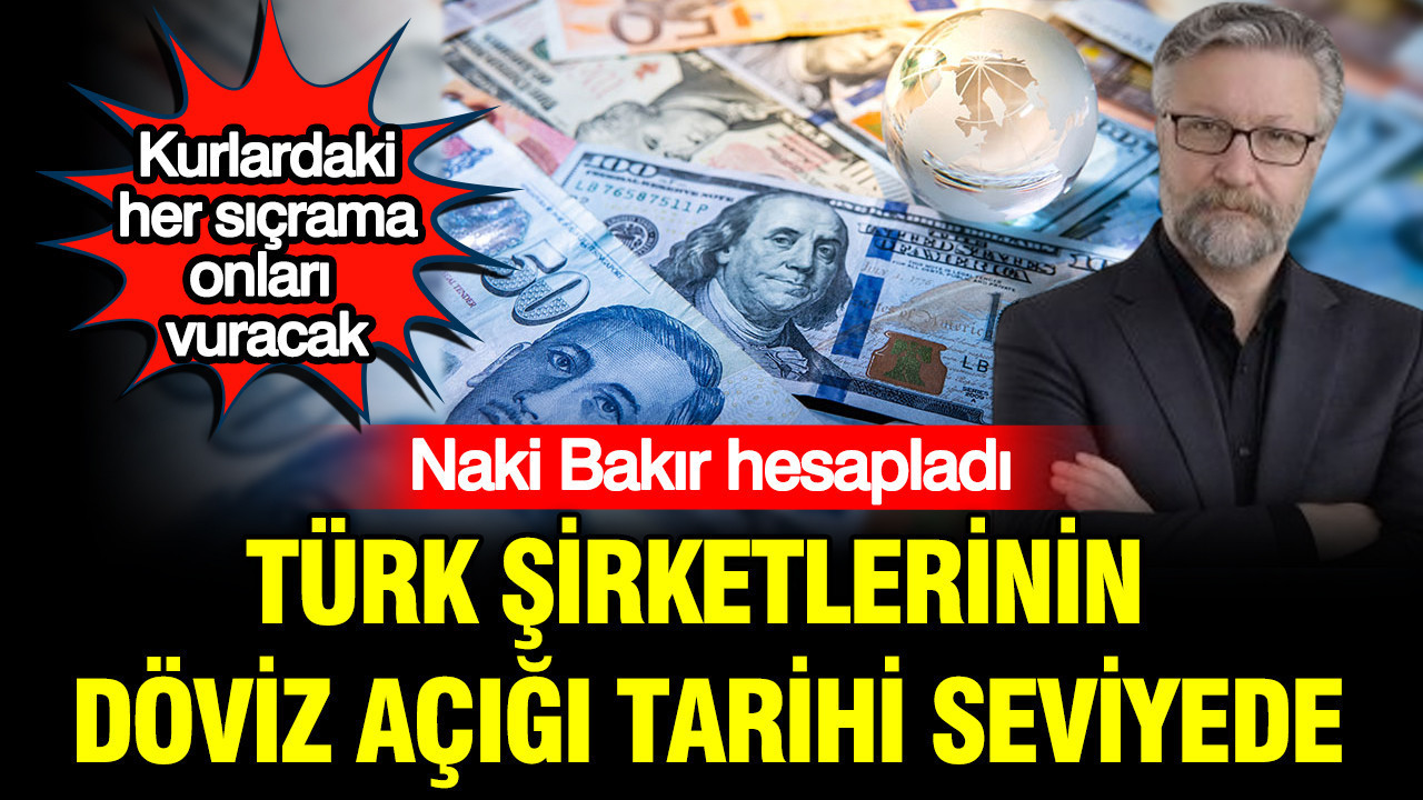 Naki Bakır hesapladı: Türk şirketlerinin döviz açığı tarihi seviyede