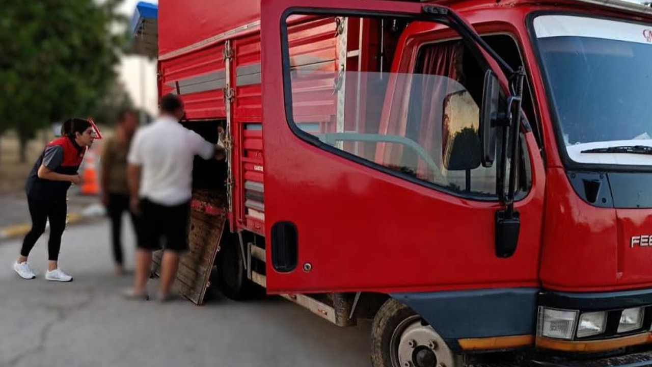 Kırklareli'nde belgesiz hayvan taşıyan şüphelilere 175 bin lira ceza