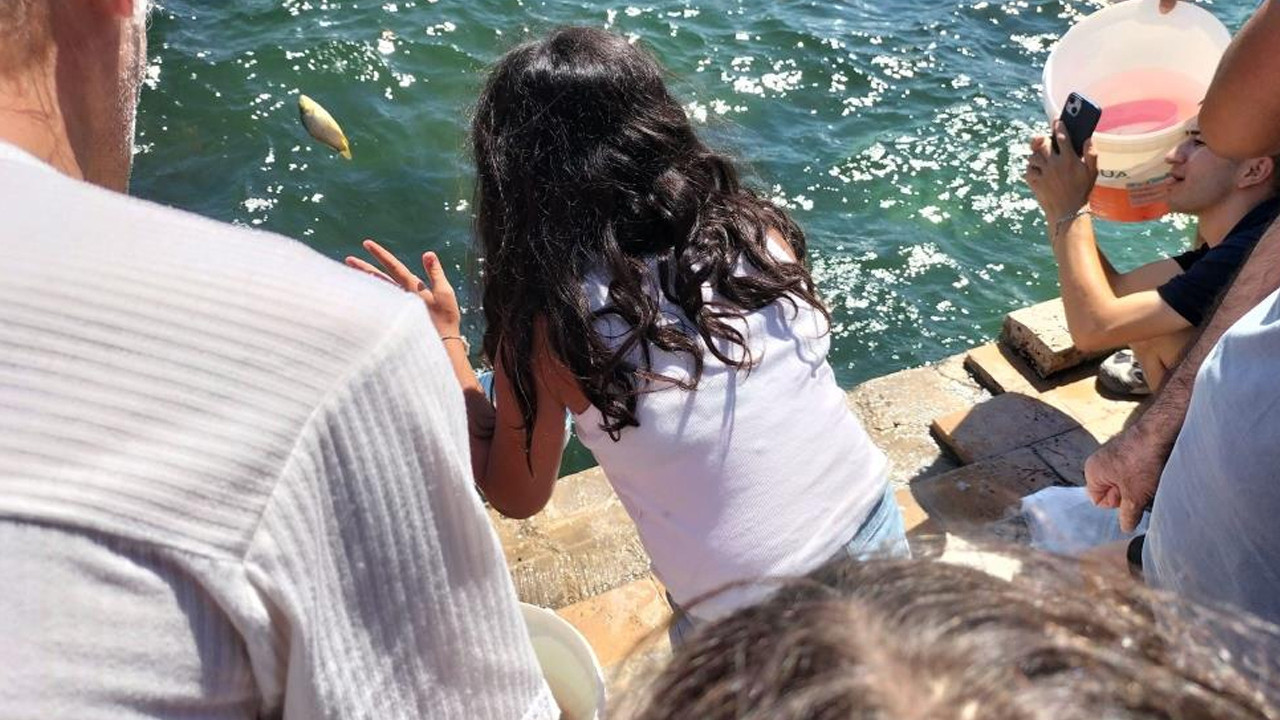 Köyceğiz Gölü'ne binlerce yavru balık bırakıldı: Gençler ve çocuklar etkinliğe ilgi gösterdi