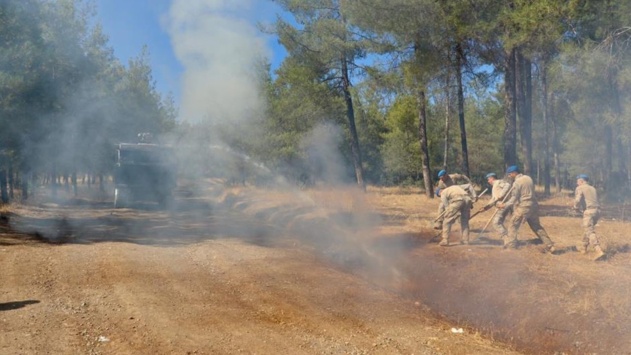 Kilis'te orman yangınlarına karşı sıkı tedbir