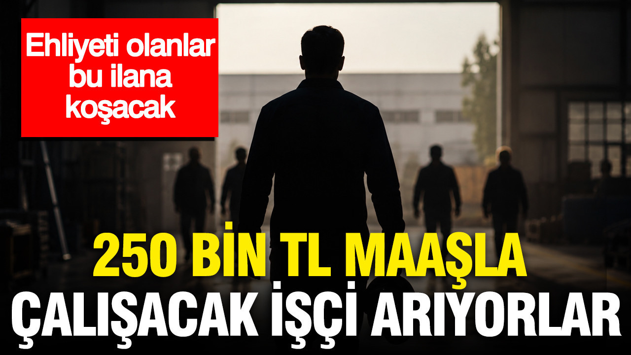 250 bin TL maaşla çalışacak işçi arıyorlar: Ehliyeti olanlar bu ilana koşacak