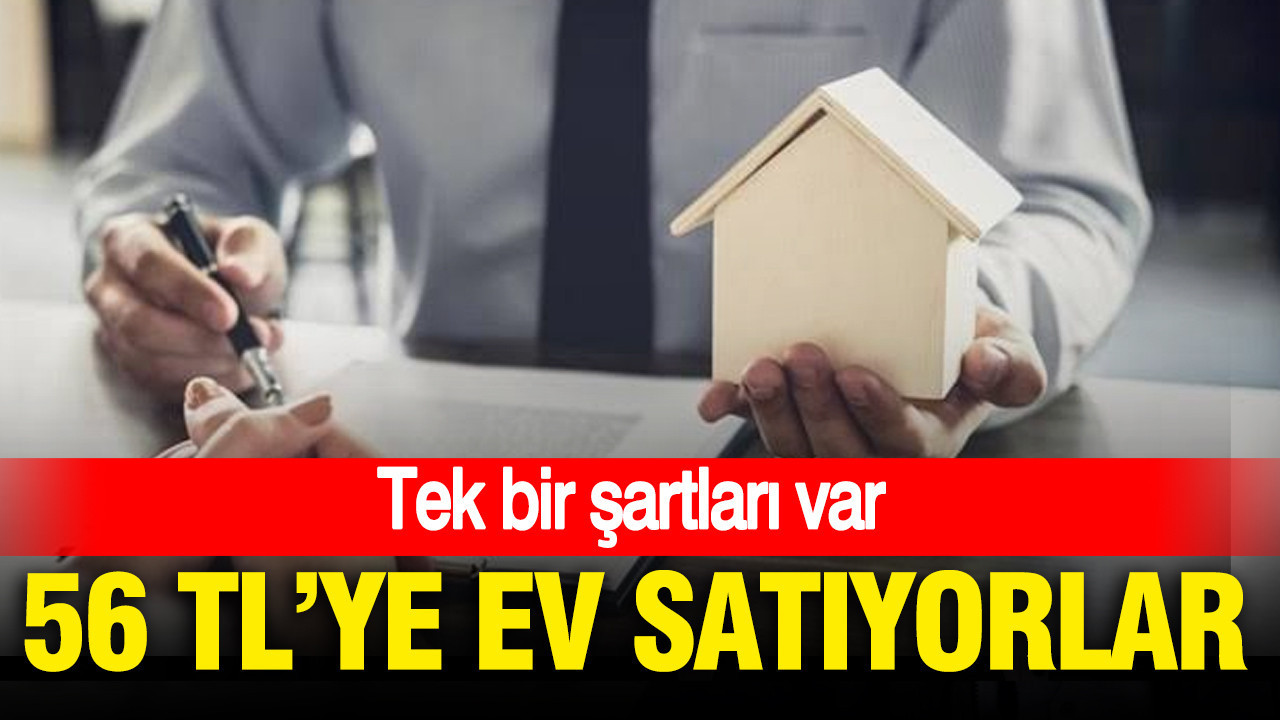 1 Euro'ya ev satıyorlar: Tek bir şartları var