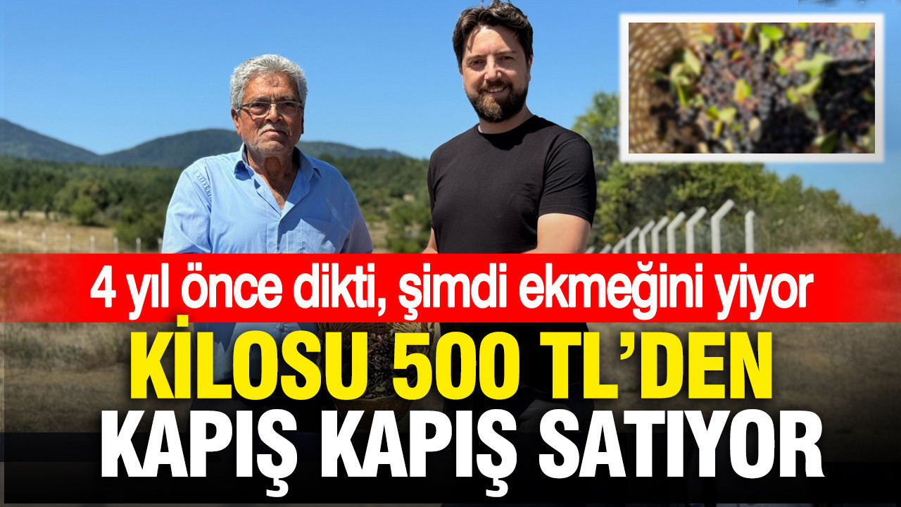 Kilosunu 500 liradan satıyor: 4 yıl önce dikti, şimdi ekmeğini yiyor