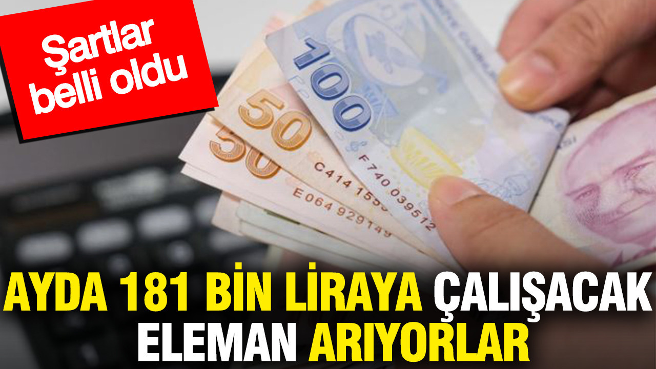 Ayda 181 bin liraya çalışacak eleman arıyorlar: Şartlar belli oldu
