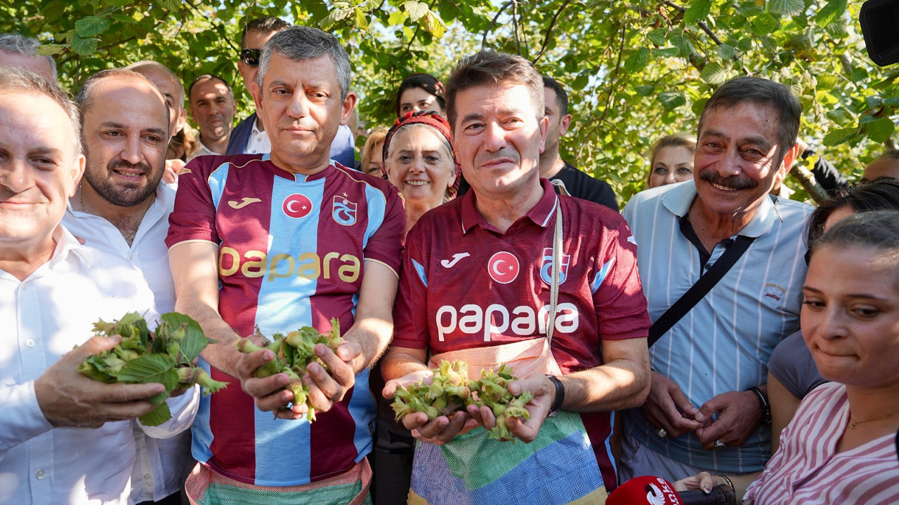 Genel Başkan Özel, Başkan Kaya ile birlikte fındık topladı