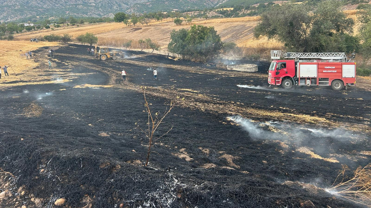 Yenipazar’da 4 dönümlük alanda anız yangını