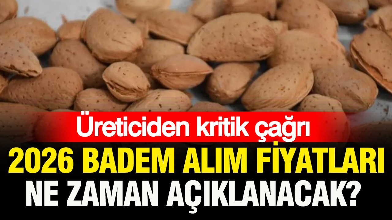 2026 badem alım fiyatları ne zaman açıklanacak? Üreticiden kritik çağrı